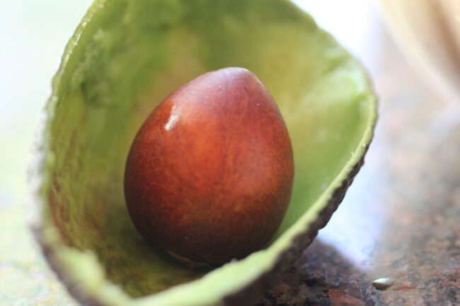 Avocado for Homemade Guacamole