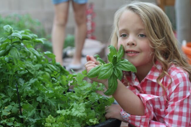 Summer Garden Photo Shoot