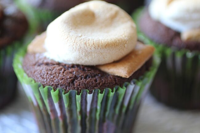Skip The Frosting Chocolate Smores Cupcakes