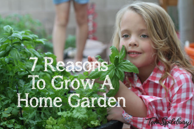 Grow A Home Garden